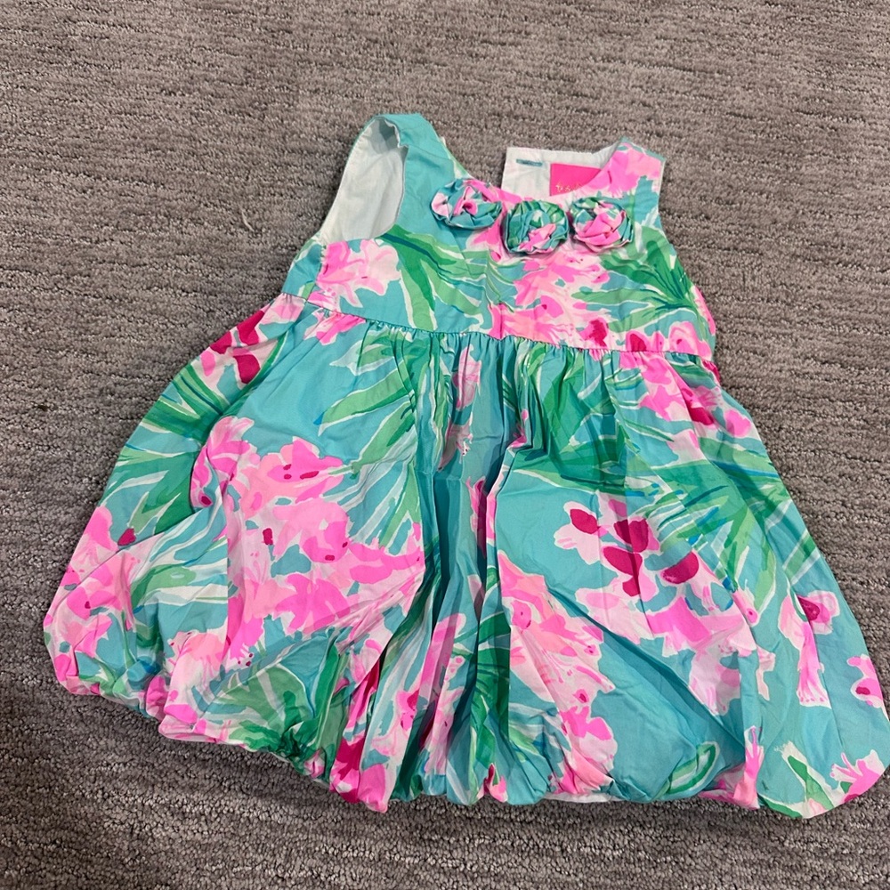 Lilly Pulitzer Pink and Green Floral Dress